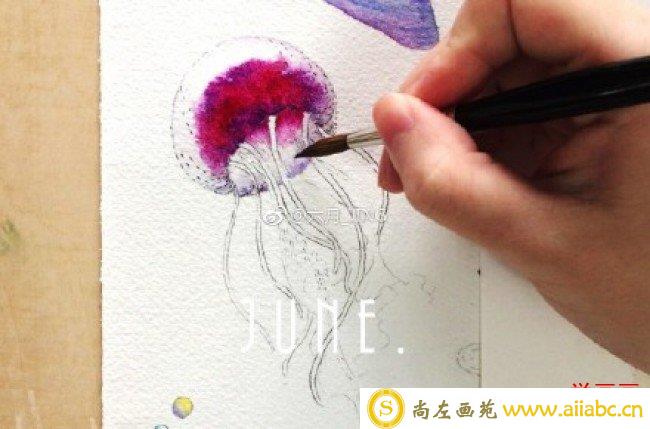 唯美的多彩水母水彩画手绘教程图片 水母水彩怎么画 水母的水彩画画法_