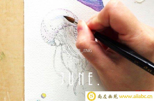 唯美的多彩水母水彩画手绘教程图片 水母水彩怎么画 水母的水彩画画法_