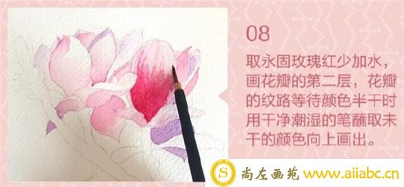 水彩画教程：教你画简单又好看的玉兰花