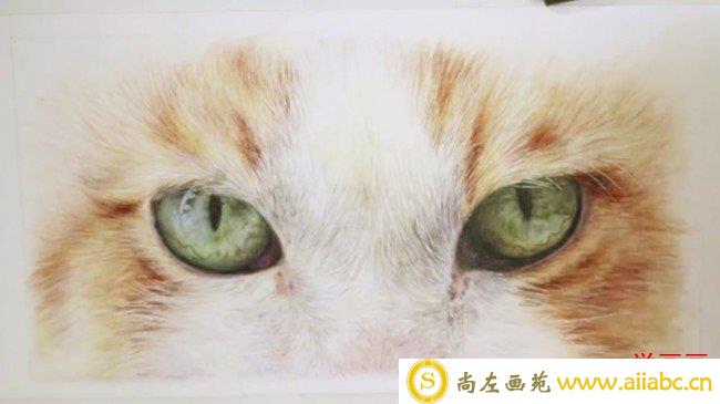 【视频】炯炯有神的一双猫咪眼睛以及周边毛发手绘视频教程画法图片_