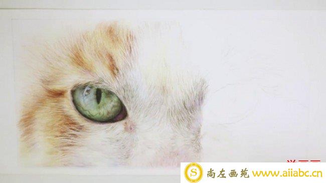【视频】炯炯有神的一双猫咪眼睛以及周边毛发手绘视频教程画法图片_