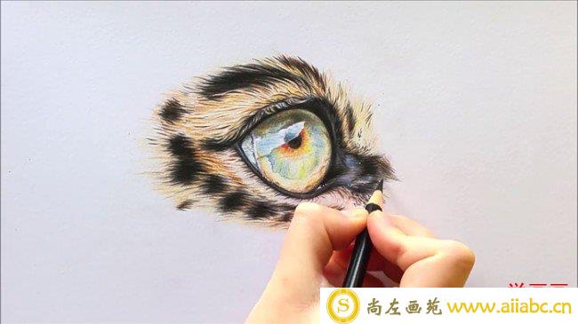 【视频】超棒的猫咪眼睛彩铅画法 星空般迷人的单只猫咪眼睛局部放大_