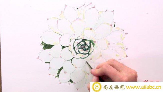 【视频】绿色的多肉植物花卉水彩画手绘视频教程 多肉水彩的画法简单_