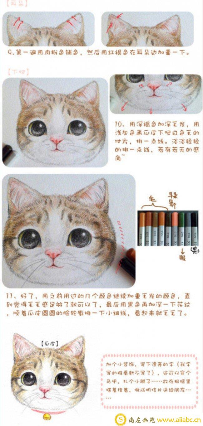 猫咪毛发绘画上色步骤和技巧讲解 精美细腻的猫咪头部彩铅上色教程分享_