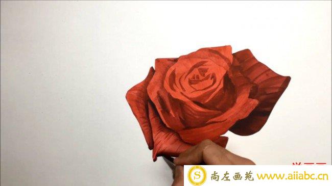【视频】好看的纯红色玫瑰花水彩画视频教程 比较写实的画法怎么画_