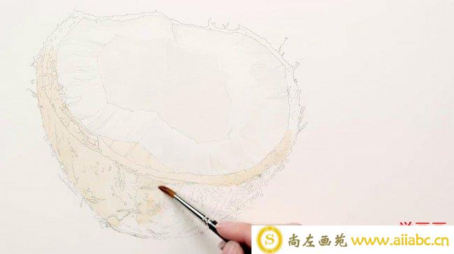 【视频】教你画一个逼真的椰果壳水彩手绘视频教程 椰果的水彩画法_
