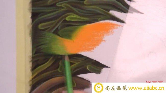 【视频】写实的小丑鱼彩铅手绘视频教程 小丑鱼彩铅画怎么画_
