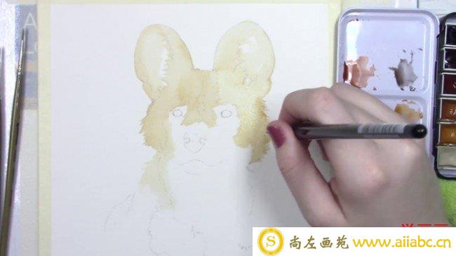 【视频】超可爱的小狗狗水彩画手绘视频教程图片 狗狗的水彩画法_