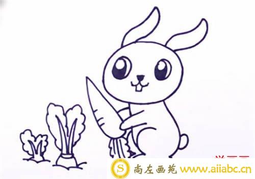 偷萝卜的兔子简笔画步骤教程