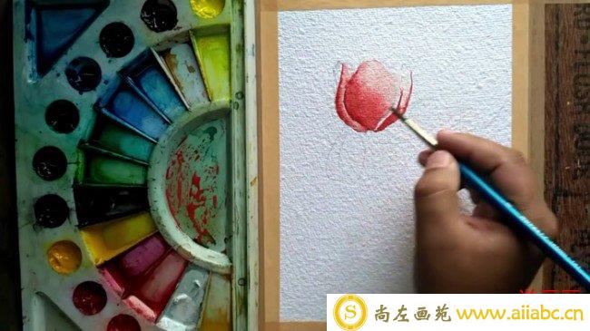 【视频】郁金香水彩画画法视频教程 郁金香的画法步骤_