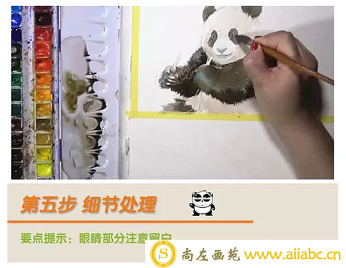 水彩画动物：大熊猫水彩画教程