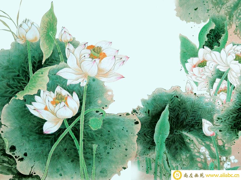 中国画莲花图片