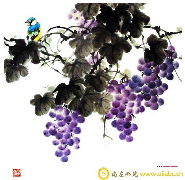 国画葡萄作品欣赏-诱人的紫葡萄