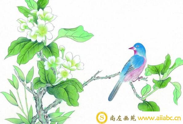 什么是花鸟画？中国花鸟画的特点有哪些？