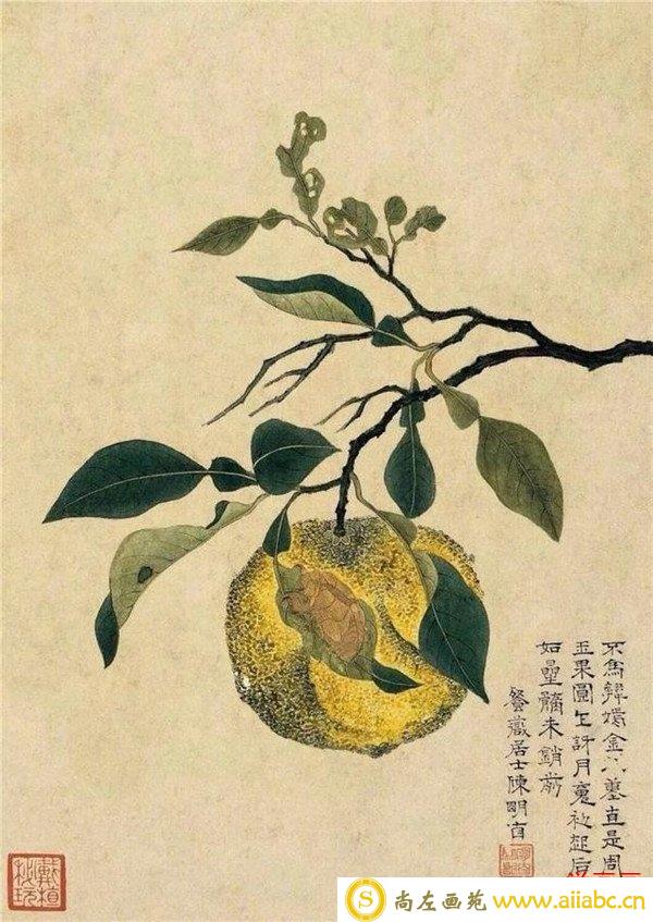 明清时代画家陈明自绘画的花卉动物
