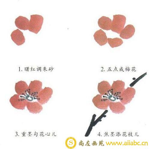 国画入门教程：几种简单的花卉的画法
