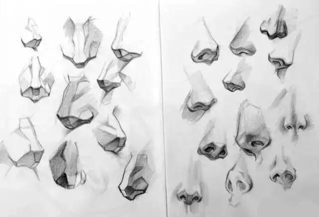 鼻子的画法：素描鼻子的画法