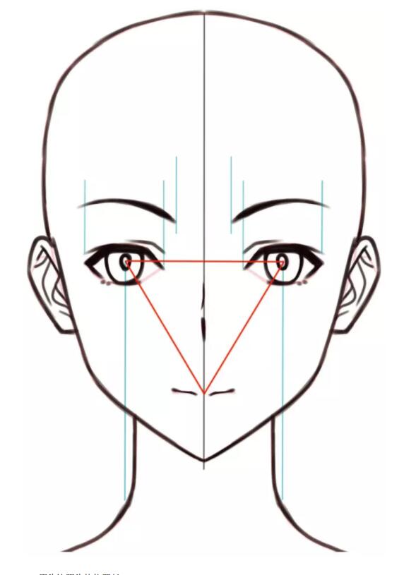 脸怎么画：怎样画好人物脸部素描