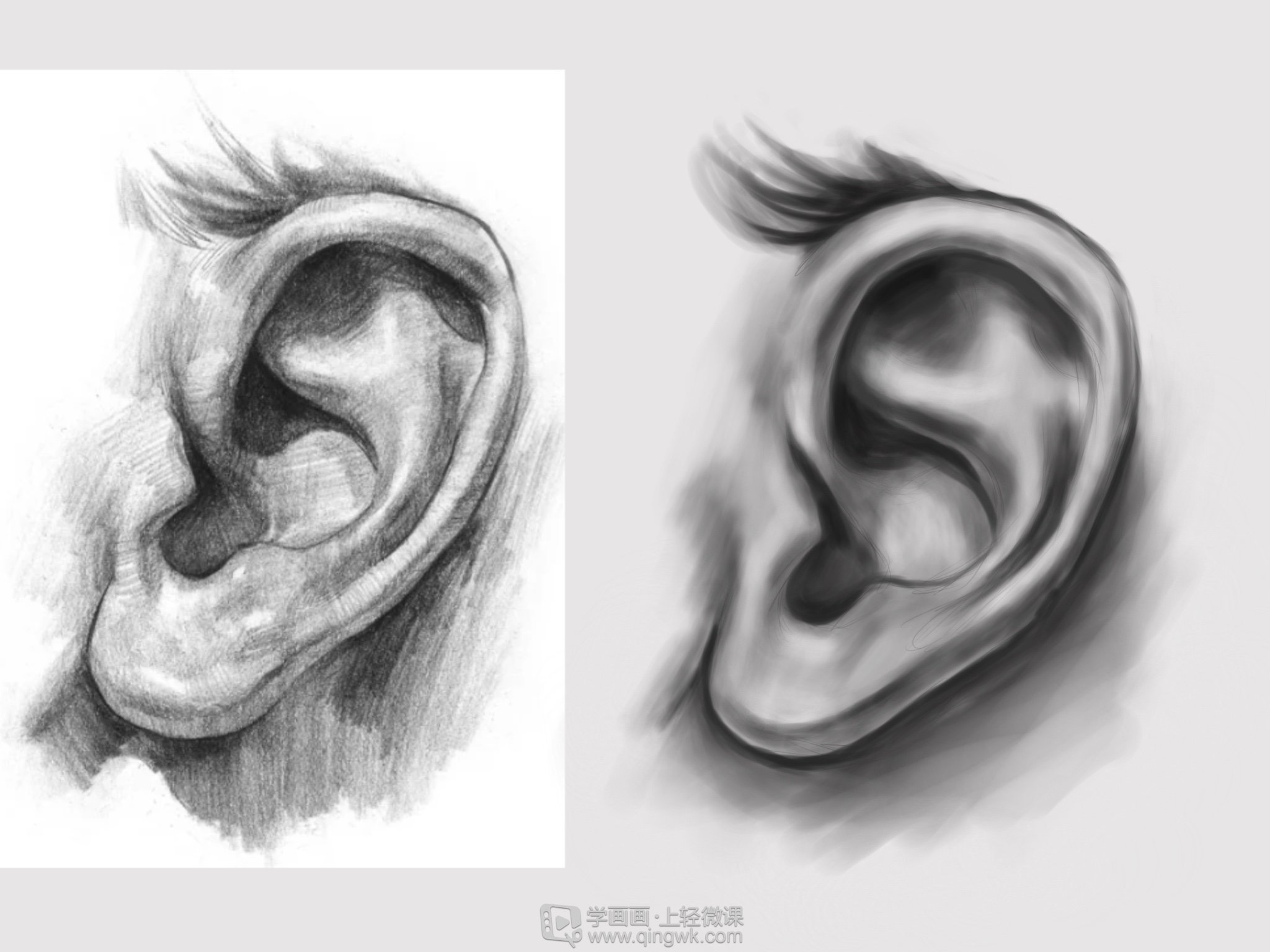 耳朵的画法：水粉画人物写生中怎样画五官？眼鼻嘴耳 眉毛的画法