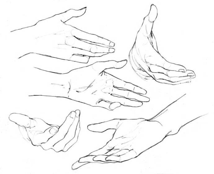 手部画法教程：素描速写如何中手和脚的画法