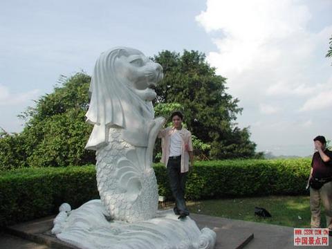 新加坡狮头鱼尾像简笔画：新加坡女孩漂亮吗