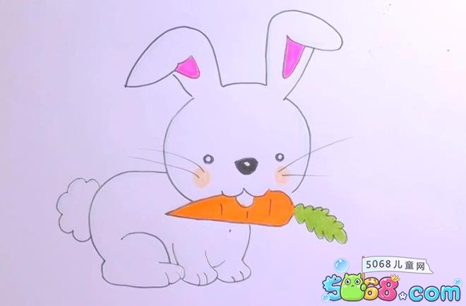 小学生随意画小兔：七岁小朋友画小兔子怎么画小兔子